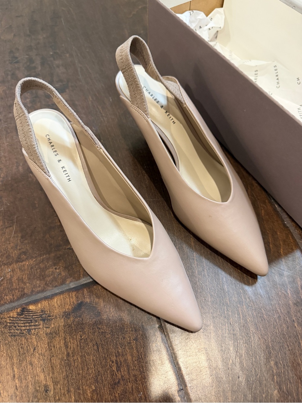 Charles & Keith Blush Slingback Pointed Pumps